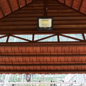 118391137 2861257070642768 8913443278889917910 N